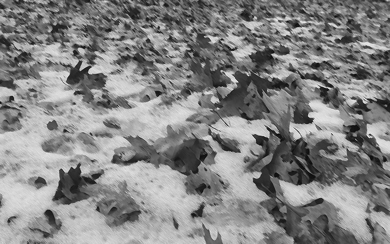 Dyingleaf